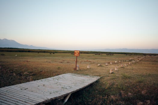 Explore a lonely wooden boardwalk stretching through open fields at sunrise, perfect for hiking and travel enthusiasts.