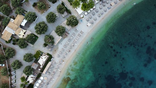 Aerial Photo of a Sea Beach with Umbrellas and Trees