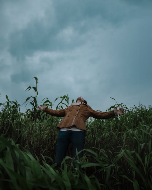 Man Gesturing in a Corn Field under a Clouded Sky