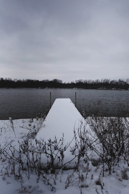 Free stock photo of bridge, dock, snow dock