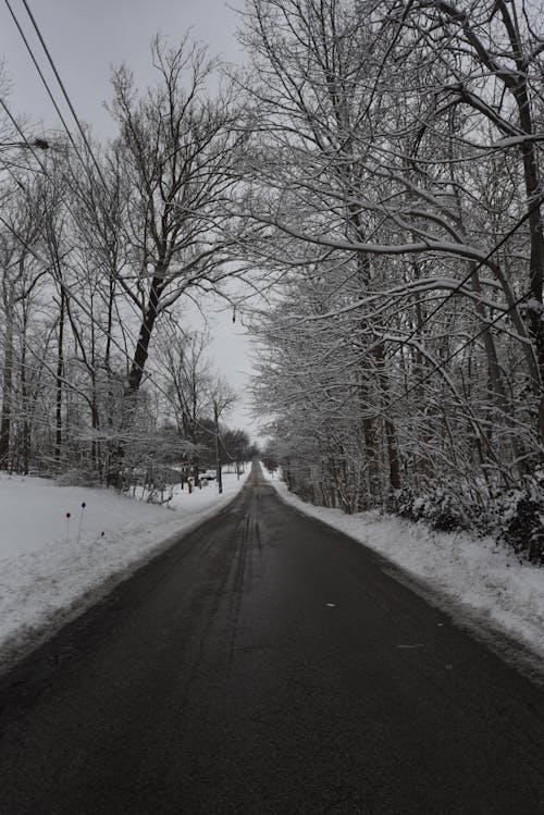 Free stock photo of snow capped, snow road, winter