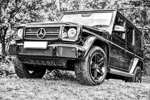 Black and White Photograph of a Vintage Terrain Car in Bushes