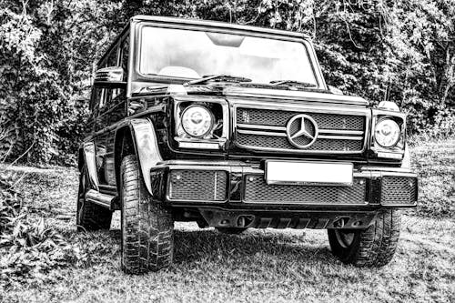 Black and White Photograph of a Vintage Terrain Car against Bushes