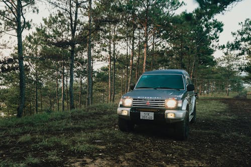 Car in a Forest Glade