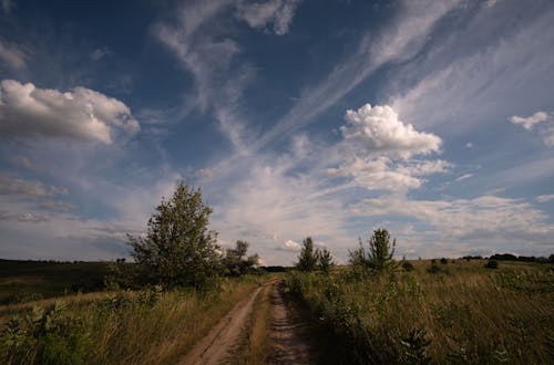 Dirt Road in Countryside