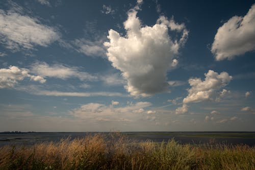 Gratis stockfoto met blikveld, cloudscape, gras