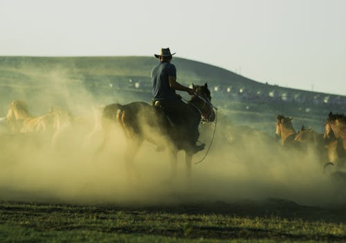 Man on a Horse amid Dust 