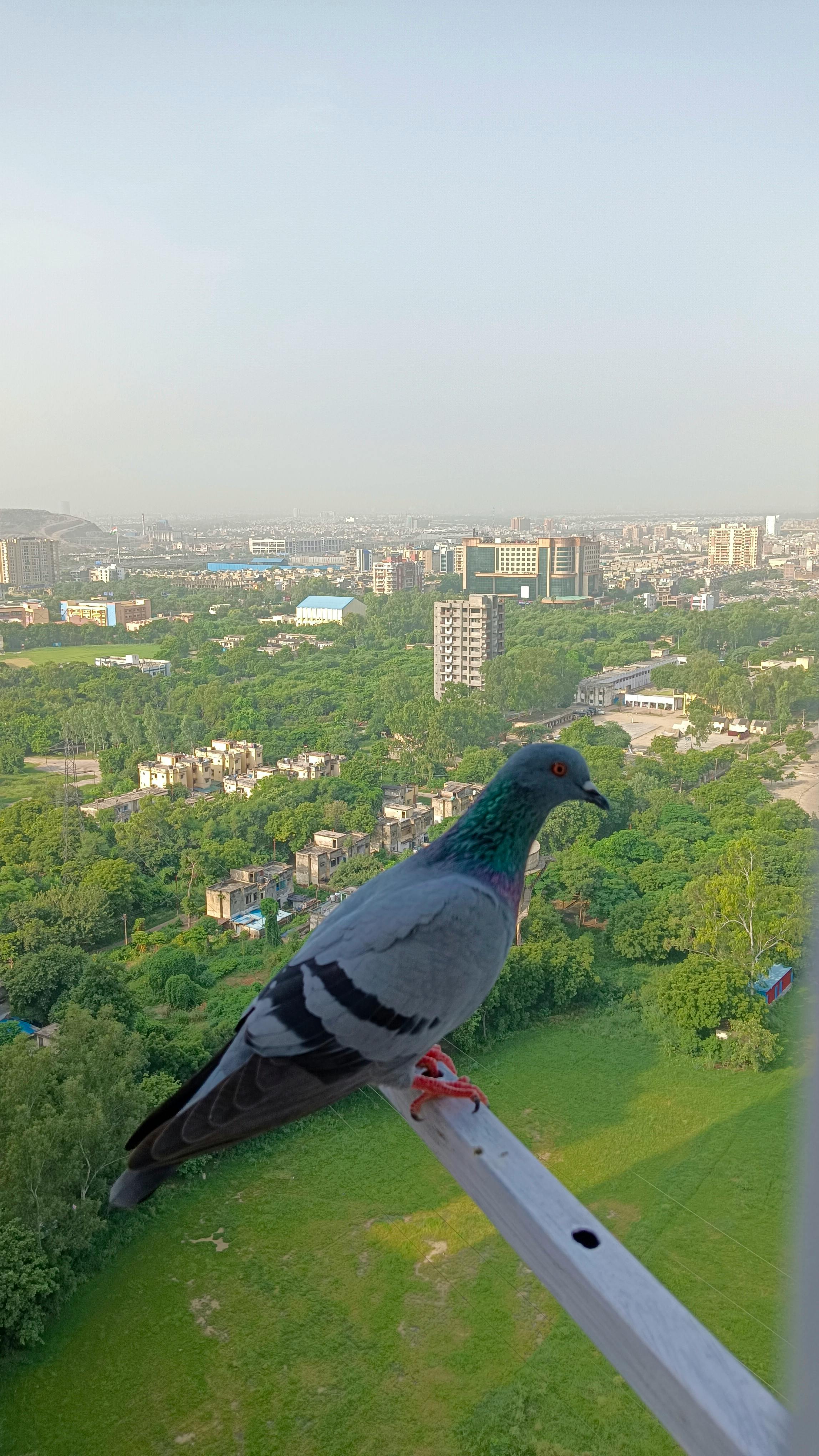 flashing Moment Photography