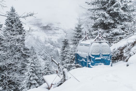 白雪皑皑的森林中，缆车在冰天雪地里营造出宁静的冬日景象