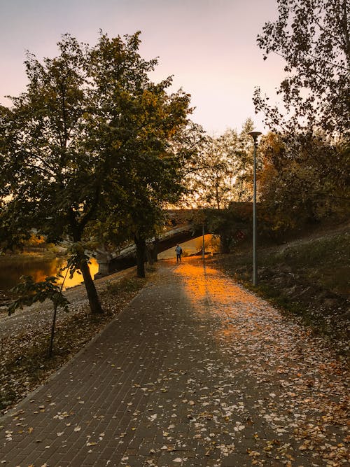 Czarno Czerwona Metalowa Rama