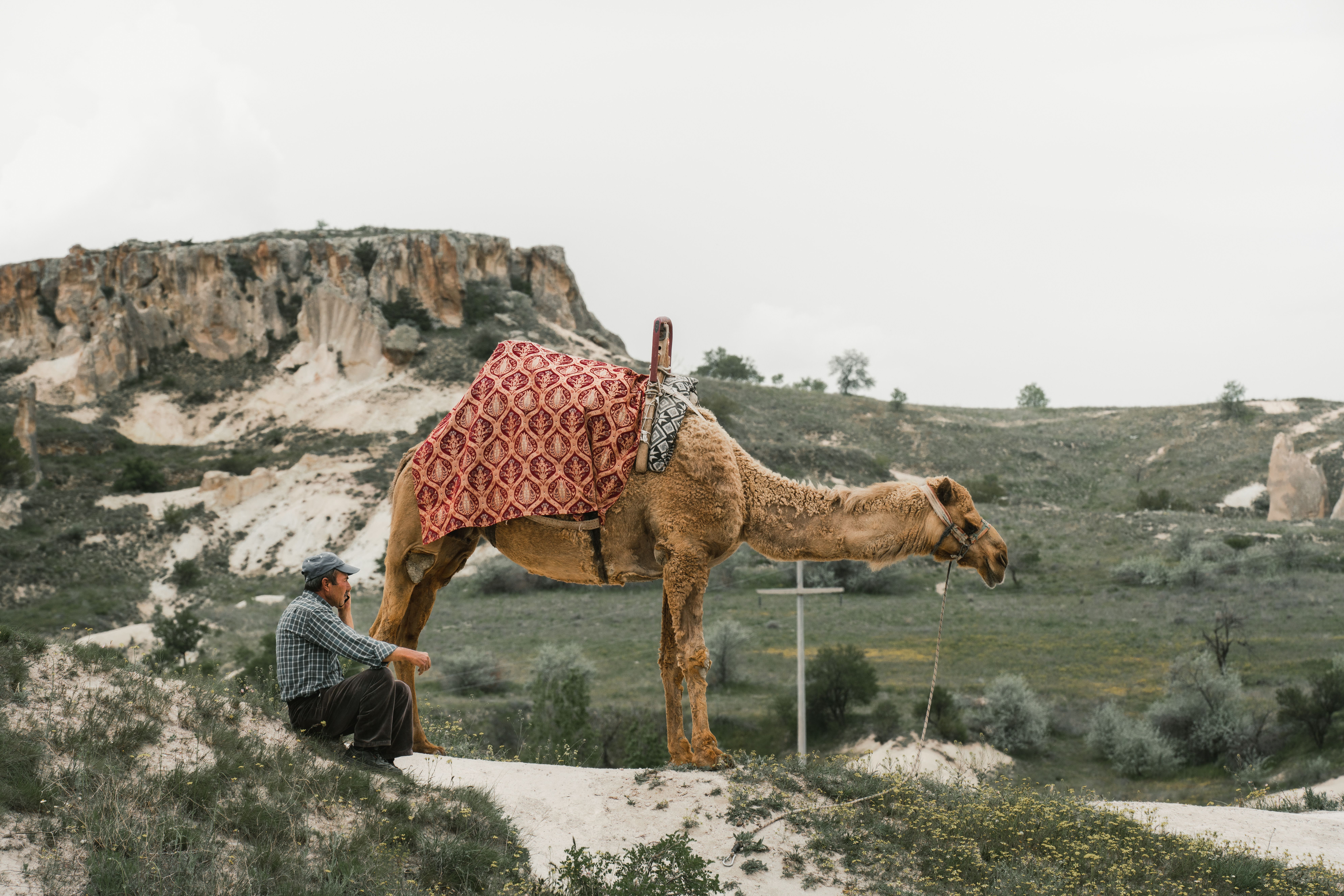 Man sitting next to his donkey, Chad
