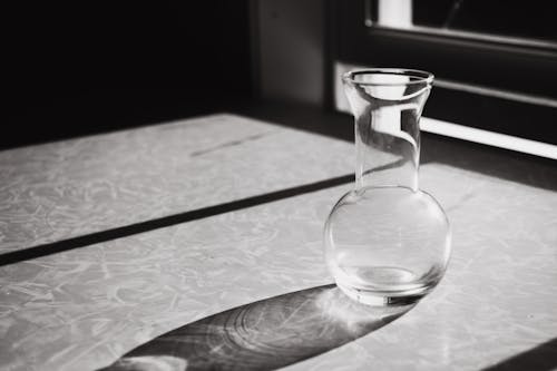Black and White Shot of a Glass Vase 