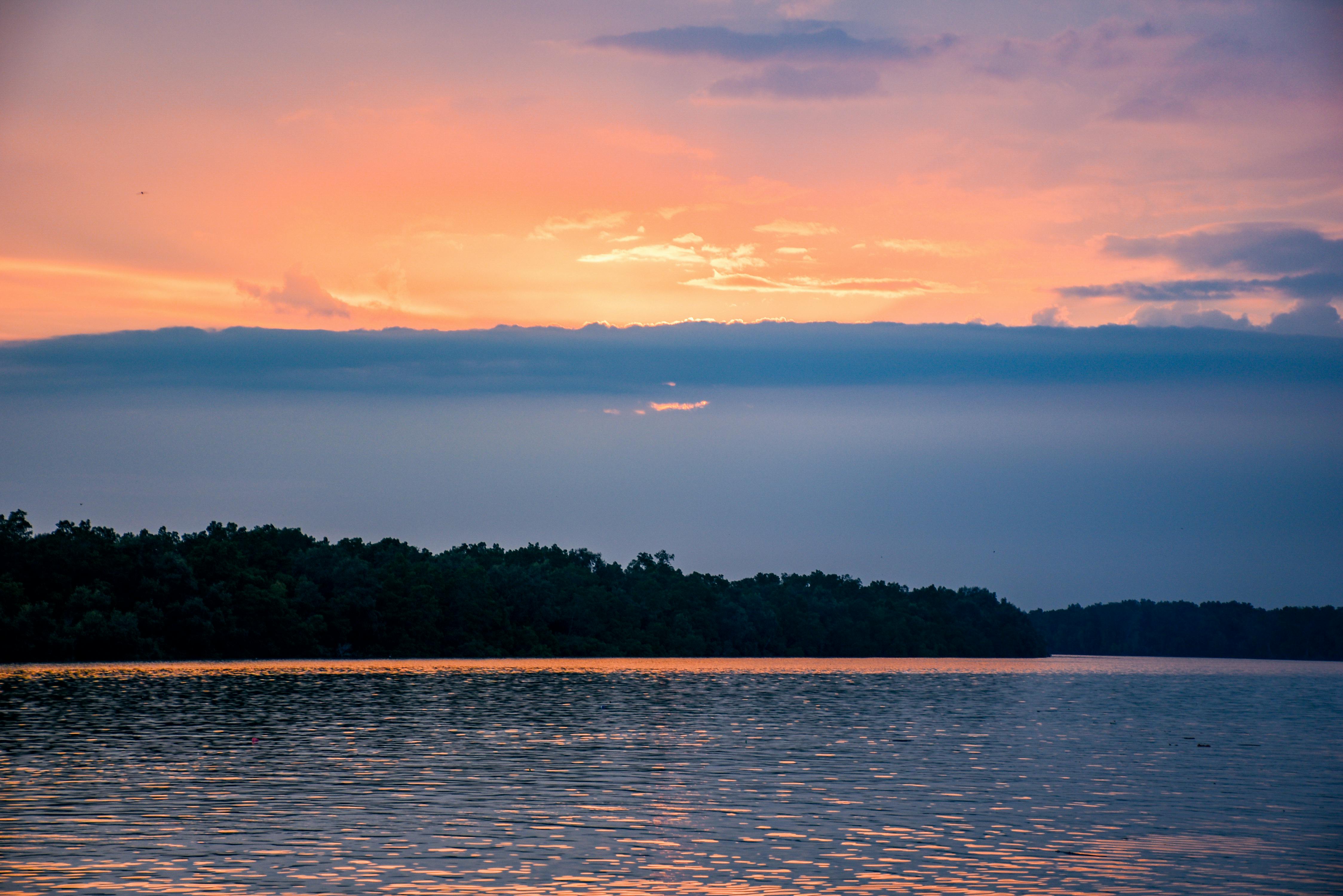 1,344 Fishing Rods Sunset Stock Photos - Free & Royalty-Free