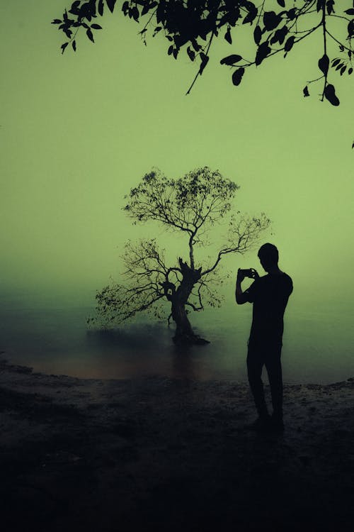 Δωρεάν στοκ φωτογραφιών με lonavala, αισθητικό πράσινο, δασικός