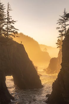 Scenic sunrise view with arches and silhouetted trees by the ocean.