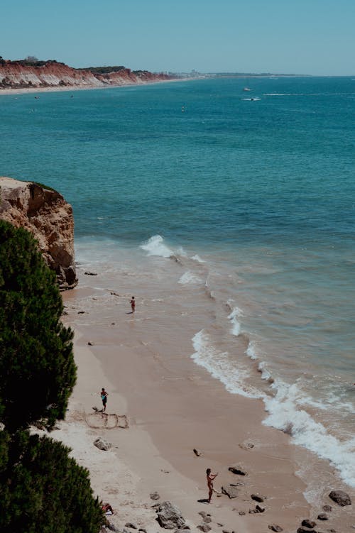 High Angle View of People Relaxing on a Beach 