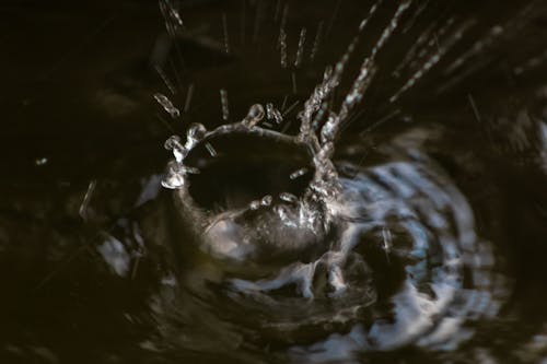 Immagine gratuita di acqua, goccia di pioggia, ictus