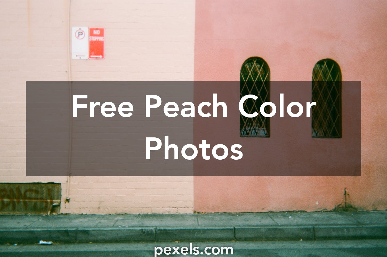 1000+ Great Peach Color Photos · Pexels · Free Stock Photos
