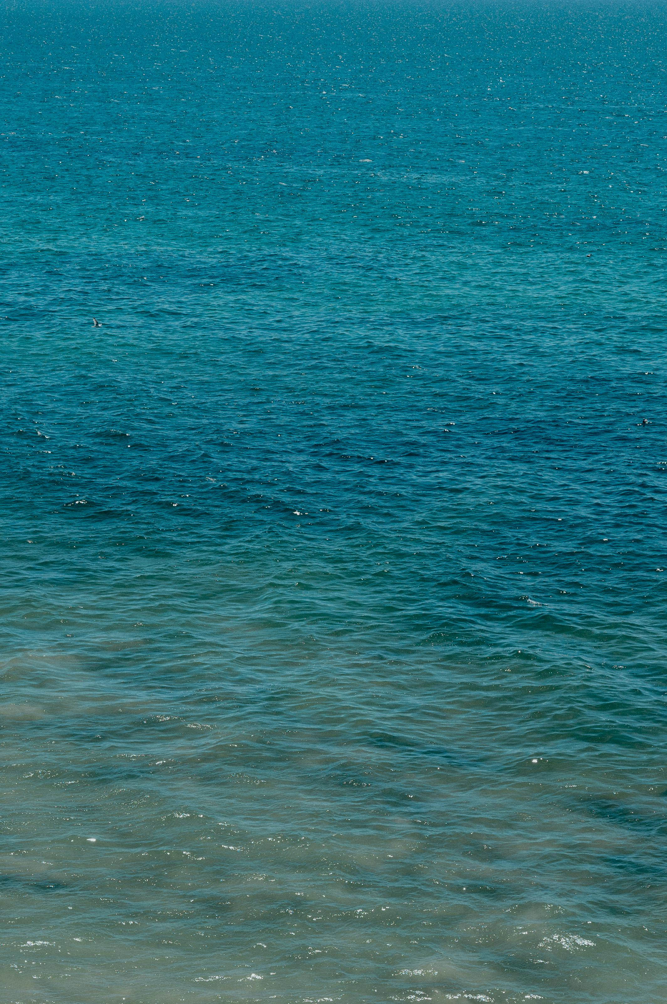 undulating surface of the blue ocean