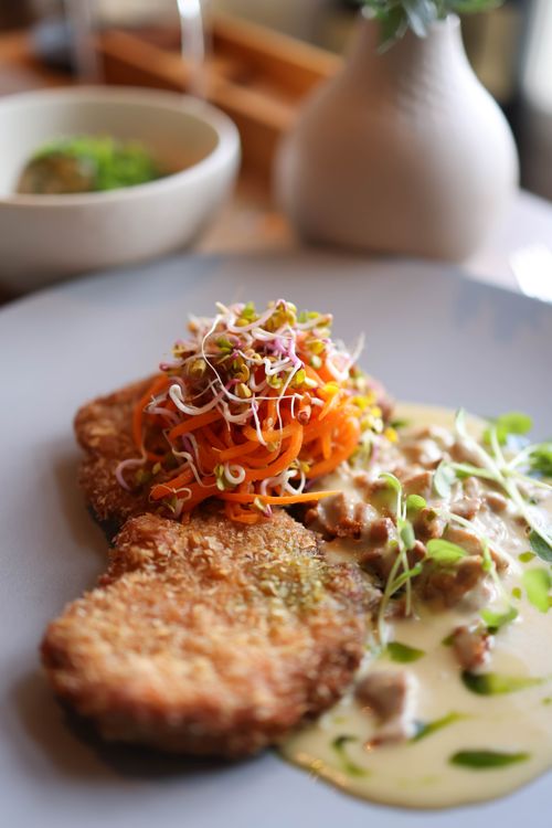 Free Delicious vegetarian schnitzel topped with fresh carrots and sprouts, and a creamy sauce, perfect for an elegant dining experience. Stock Photo