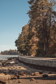 Peaceful coastal path along rocky beach in Vancouver, BC, showcasing towering trees and ocean views.