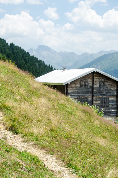 Free A rustic wooden cabin on a grassy mountain slope with a forest and alpine view. Stock Photo