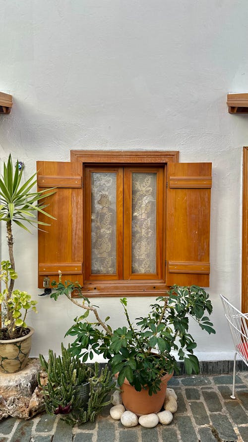 Potted Plants Under a Wooden Window with External Shutters