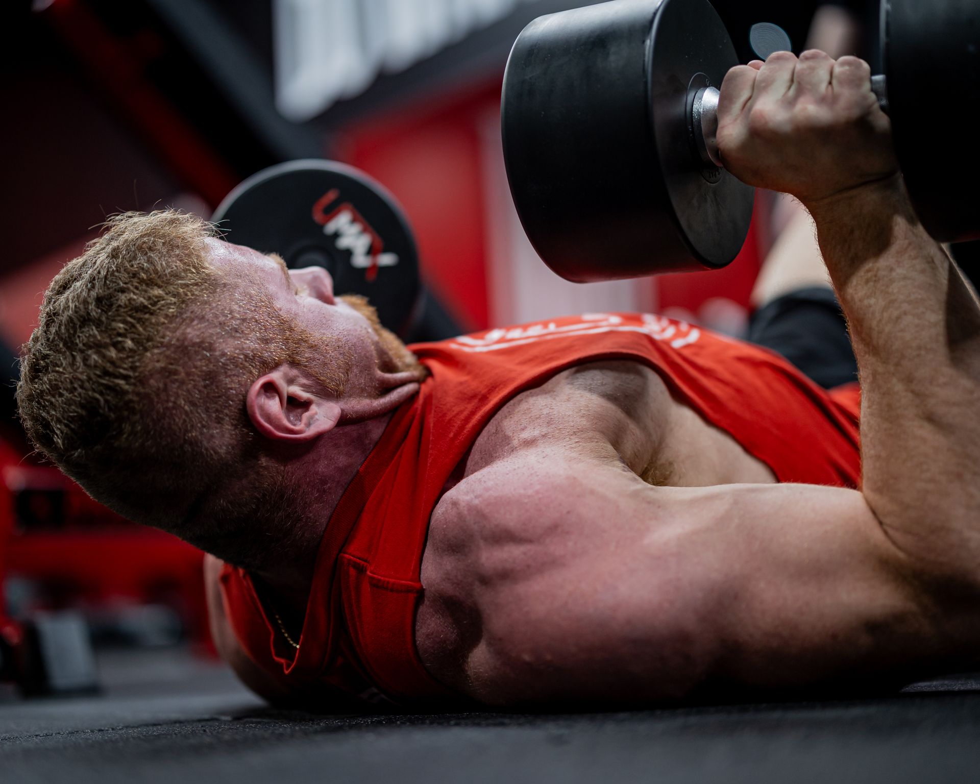 Muscular Man Lifting Dumbbells Lying on the Floor in the Gym