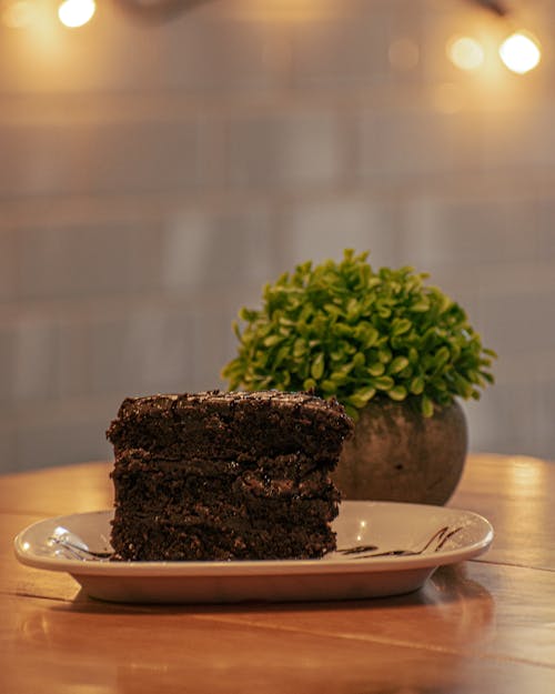 Free Chocolate Cake on the Plate  Stock Photo