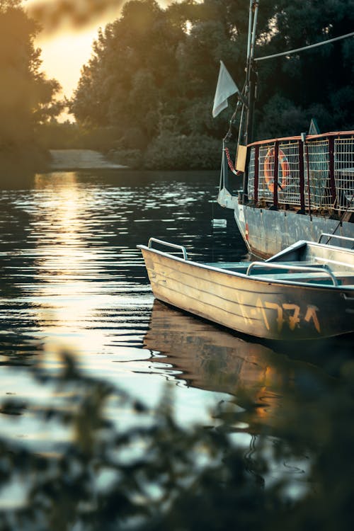 Photos gratuites de arbres, bateau, bateaux