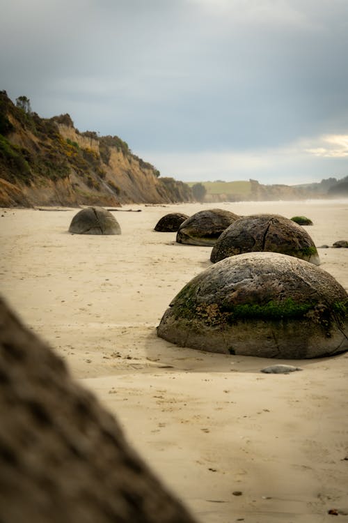 View of the Moeraki Boulders Beach on the Coast of New Zealand