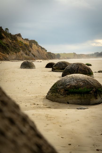 20. Moeraki Boulders: Nature's Giant Marbles 20. Moeraki Boulders: Nature's Giant Marbles