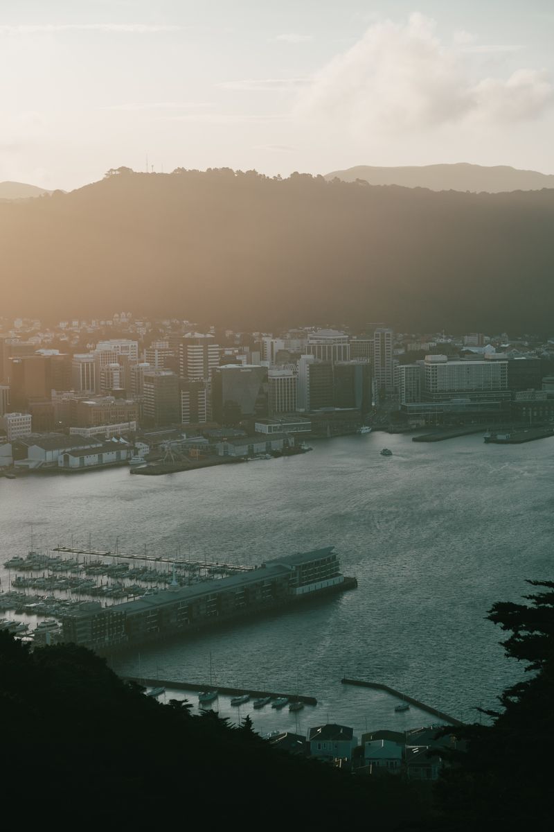 View of the Wellington harbour and city from Mount Victoria
