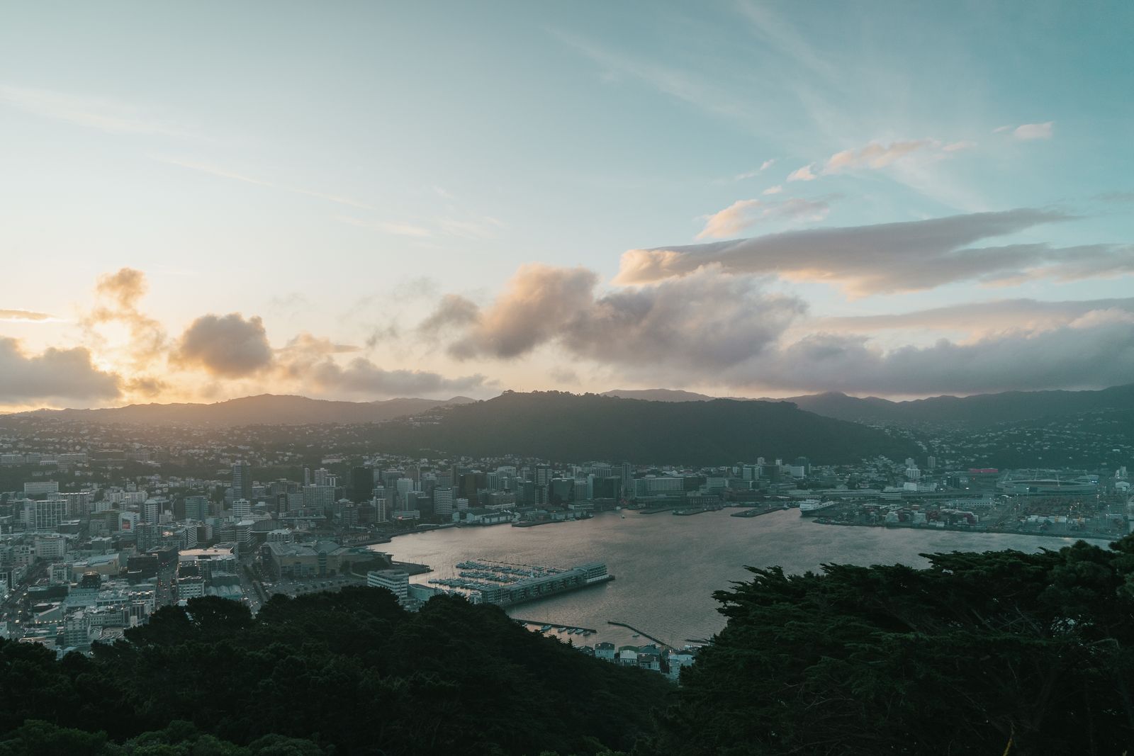 Wellington