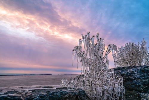 Frozen Ice in Nature