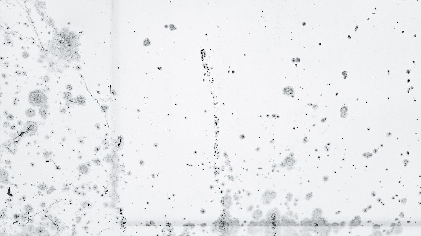 Manchas de moho negro extendiéndose por una pared interior blanca — inspección gratis de moho y humedad en Miami
