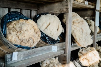 Bundles of raw fleece stacked on workshop shelves, photo by Jessica Lewis on Pexels