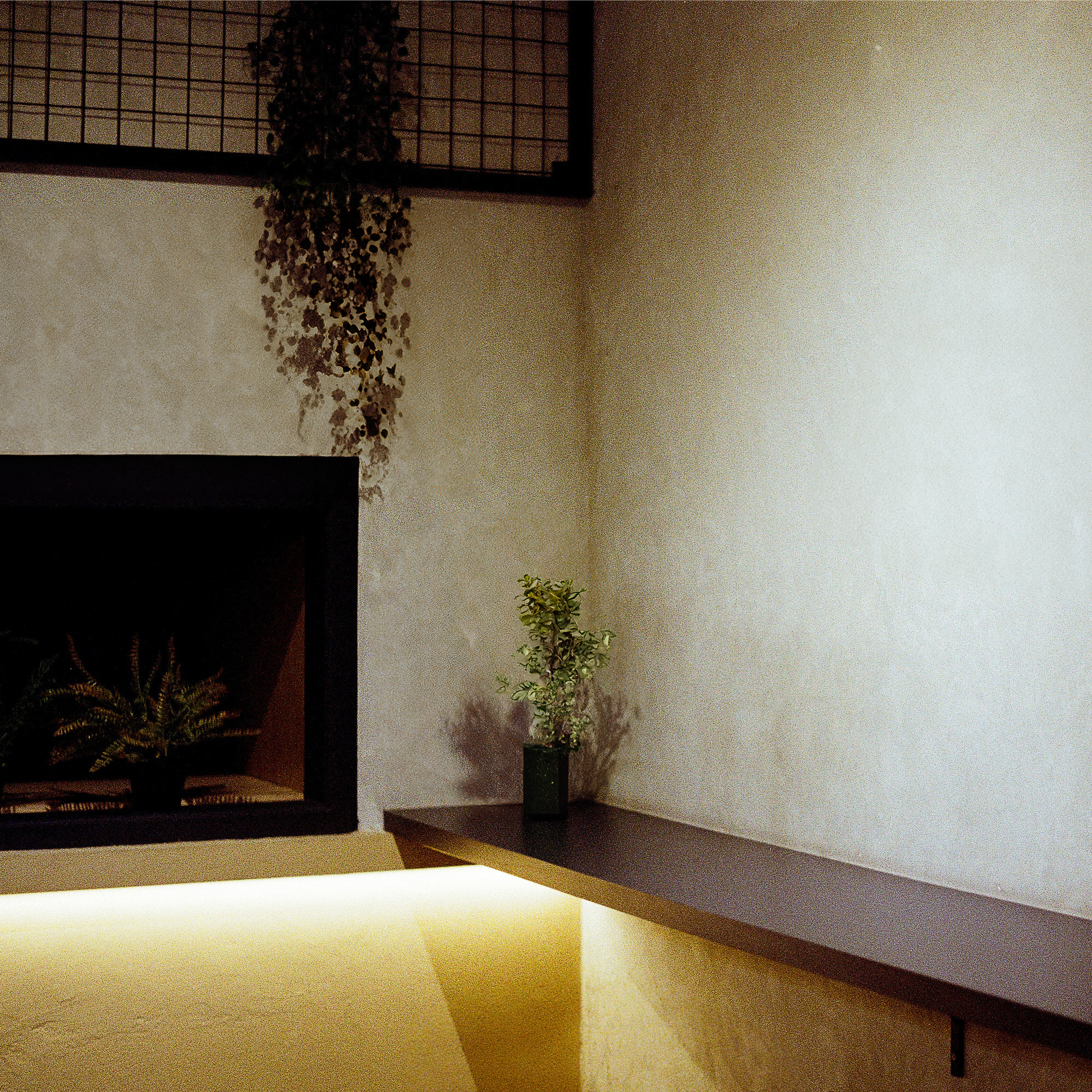 Discover this modern minimalist interior featuring a clean design with potted plants and ambient lighting.