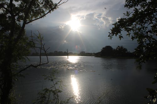 sun rays over the lake