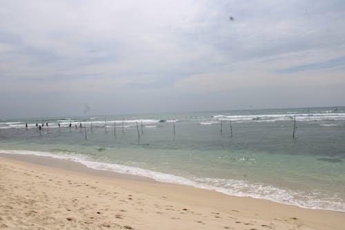 Stilt fishing in Sri Lanka