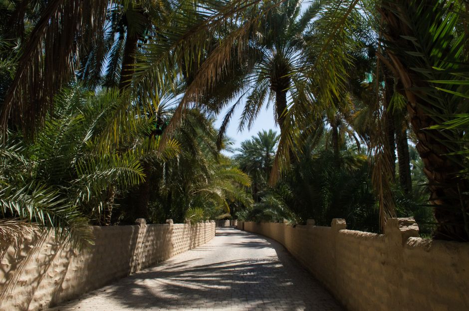 Marché Wahat (Oasis Waterpark)
