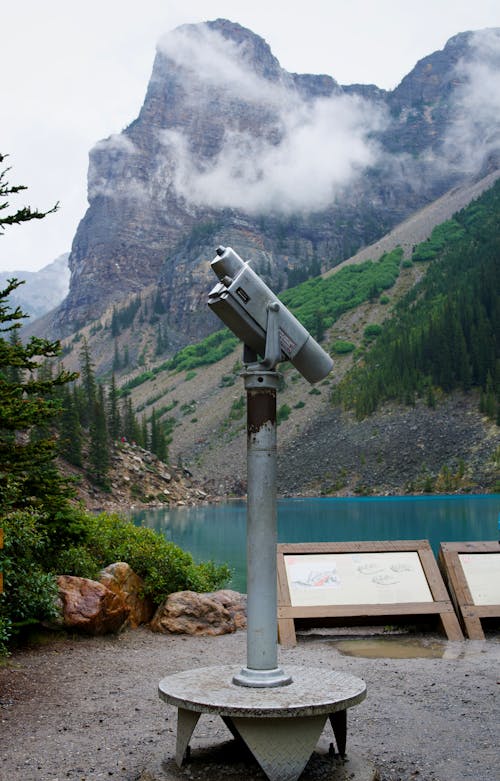 Foto d'estoc gratuïta de arbres, binoculars, llac