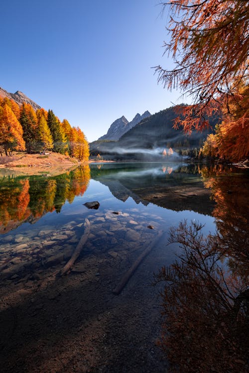 Landscape of a Lake in a Mountain Valley Surrounded by Trees in Autumn 