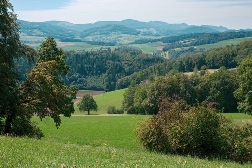 Free Beautiful countryside view featuring lush green fields, rolling hills, and dense forest under a clear sky. Stock Photo