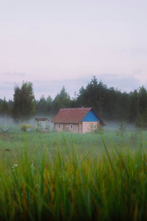 Foto stok gratis bidang, cottage, hutan