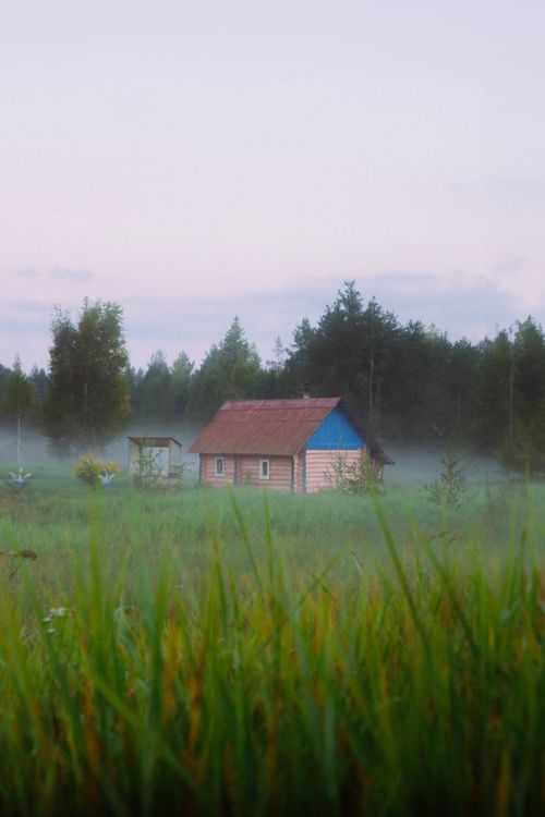 Free Serene image of a wooden cabin amidst a misty forest and meadow in Belarus. Stock Photo