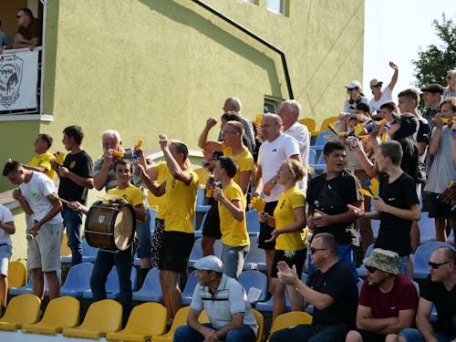 Fotos de stock gratuitas de aficionados al deporte, animando, audiencia