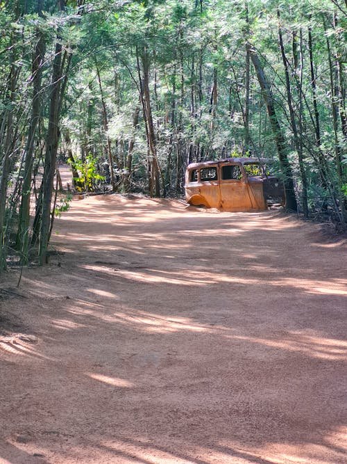 Old rusted car on a forest path