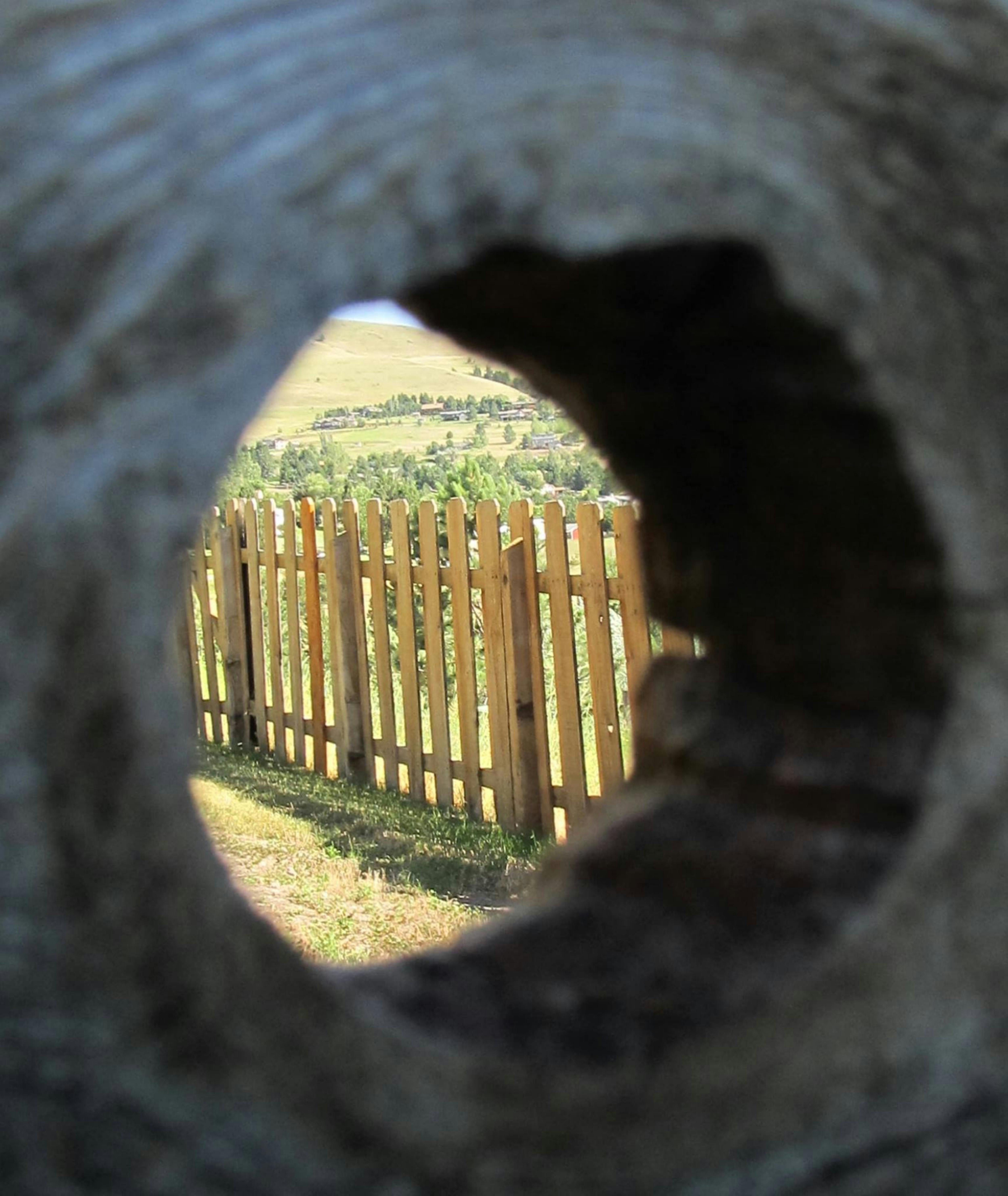 Free stock photo of fence hole trees spying