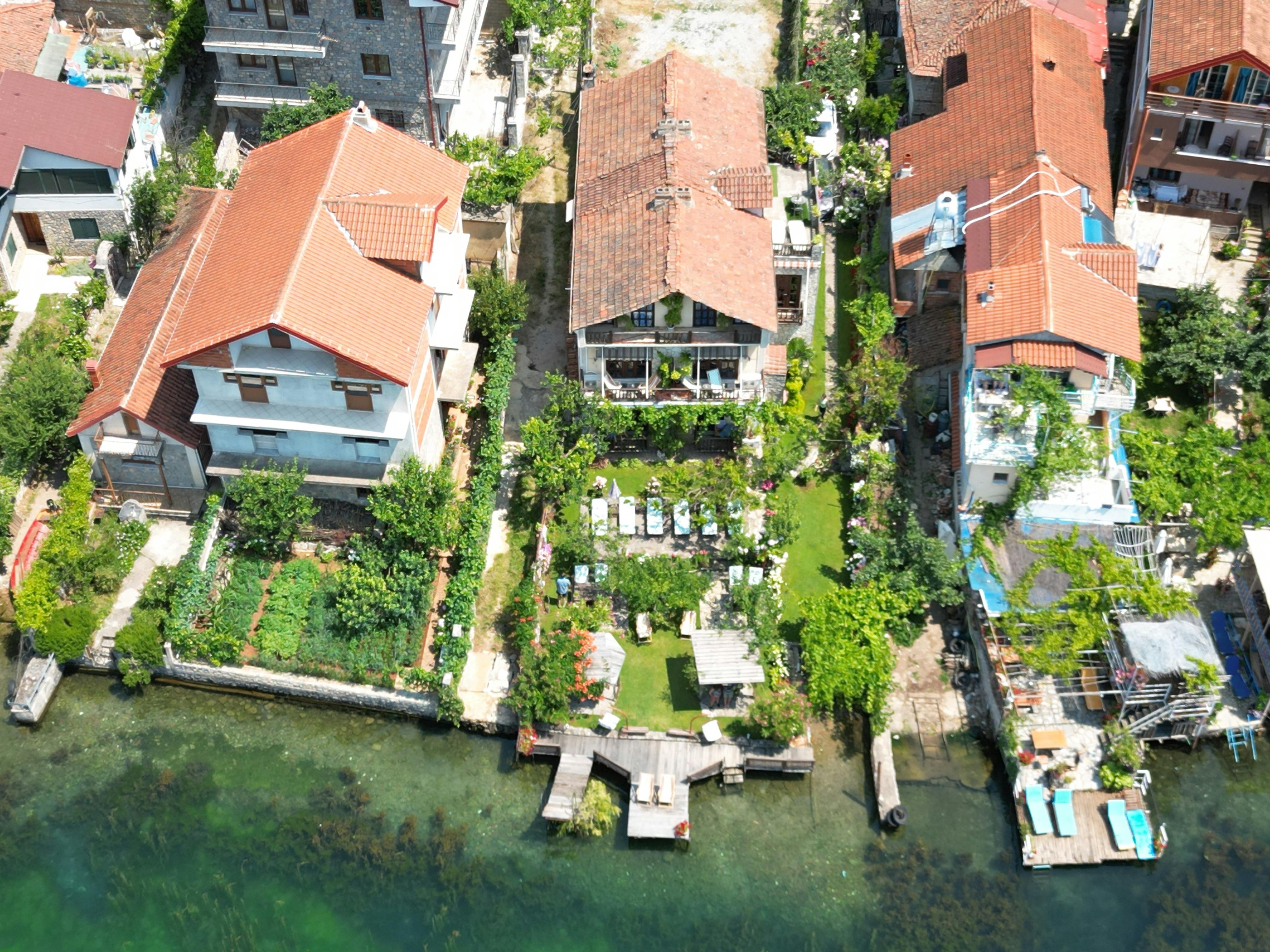 Andoni Fotoğrafçılık